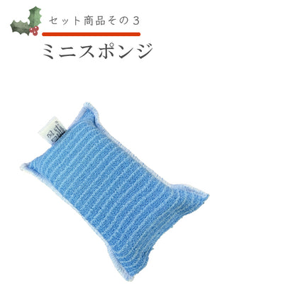 ②スポンジセット　ノーベル賞・クリスマスキャンペーン特別価格セット2025